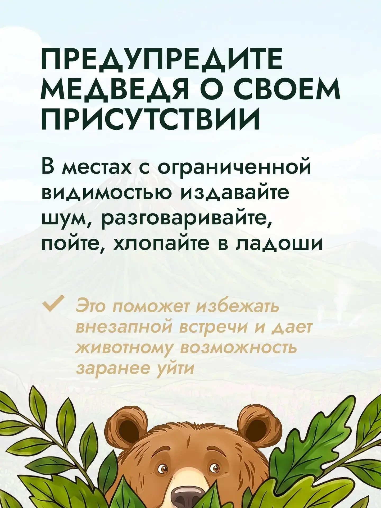 🐻 Агентство лесного и охотничьего хозяйства Сахалинской области сообщает, что в настоящее время у м