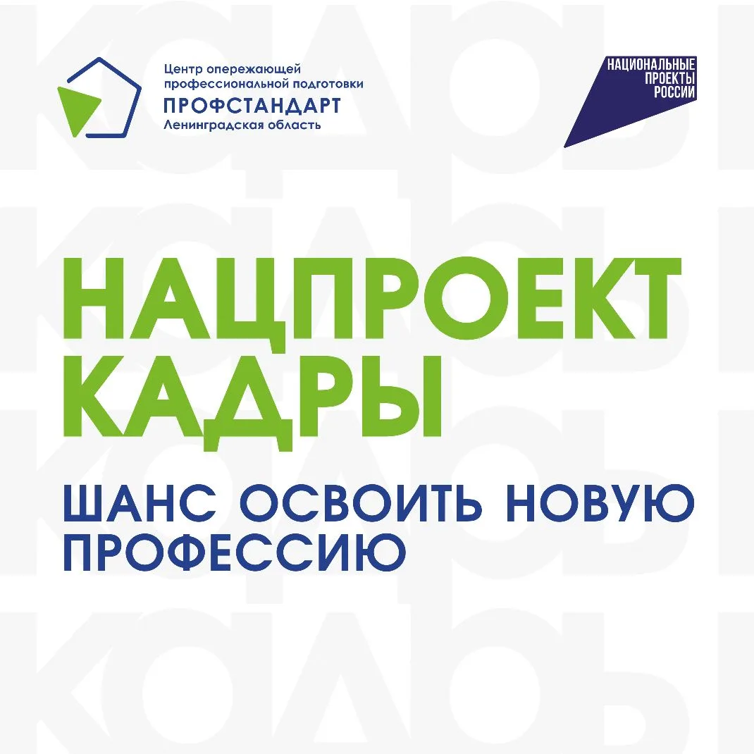Всё, что нужно знать о нацпроекте «Кадры», — в пяти карточках🔥