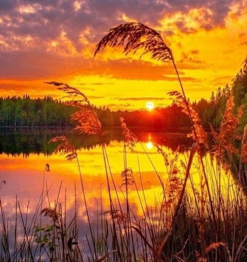 🌿 С рюкзачком потёртым уходило Лето,