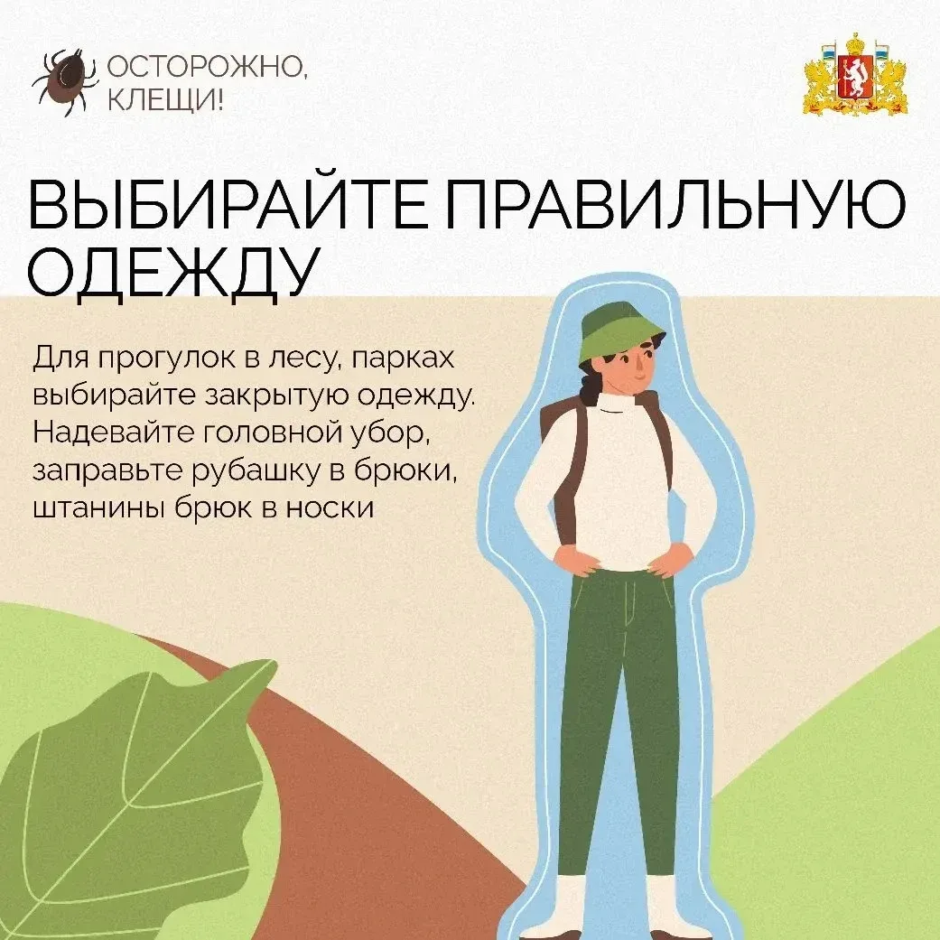 🌱 Весна – время, когда возвращаются долгие прогулки, в том числе и загородные. Не забывайте, что от