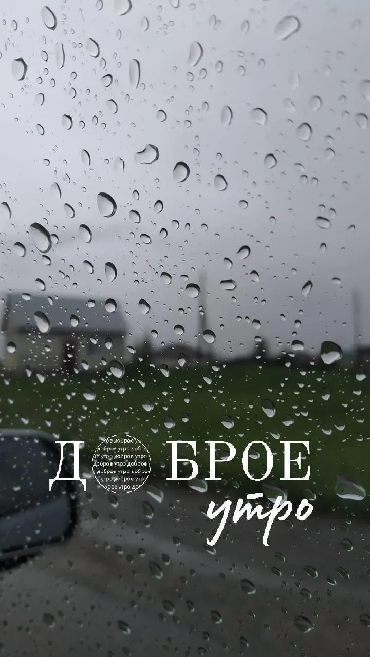 🌧️ Доброе и продуктивное утро, несмотря на дождь за окном!