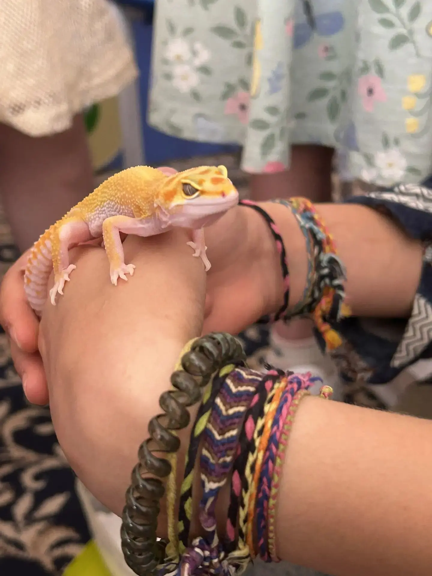 Сегодня у нас в гостях - эублефар!🦎

Это ночной ящер с очень выразительными глазами и улыбающейся м