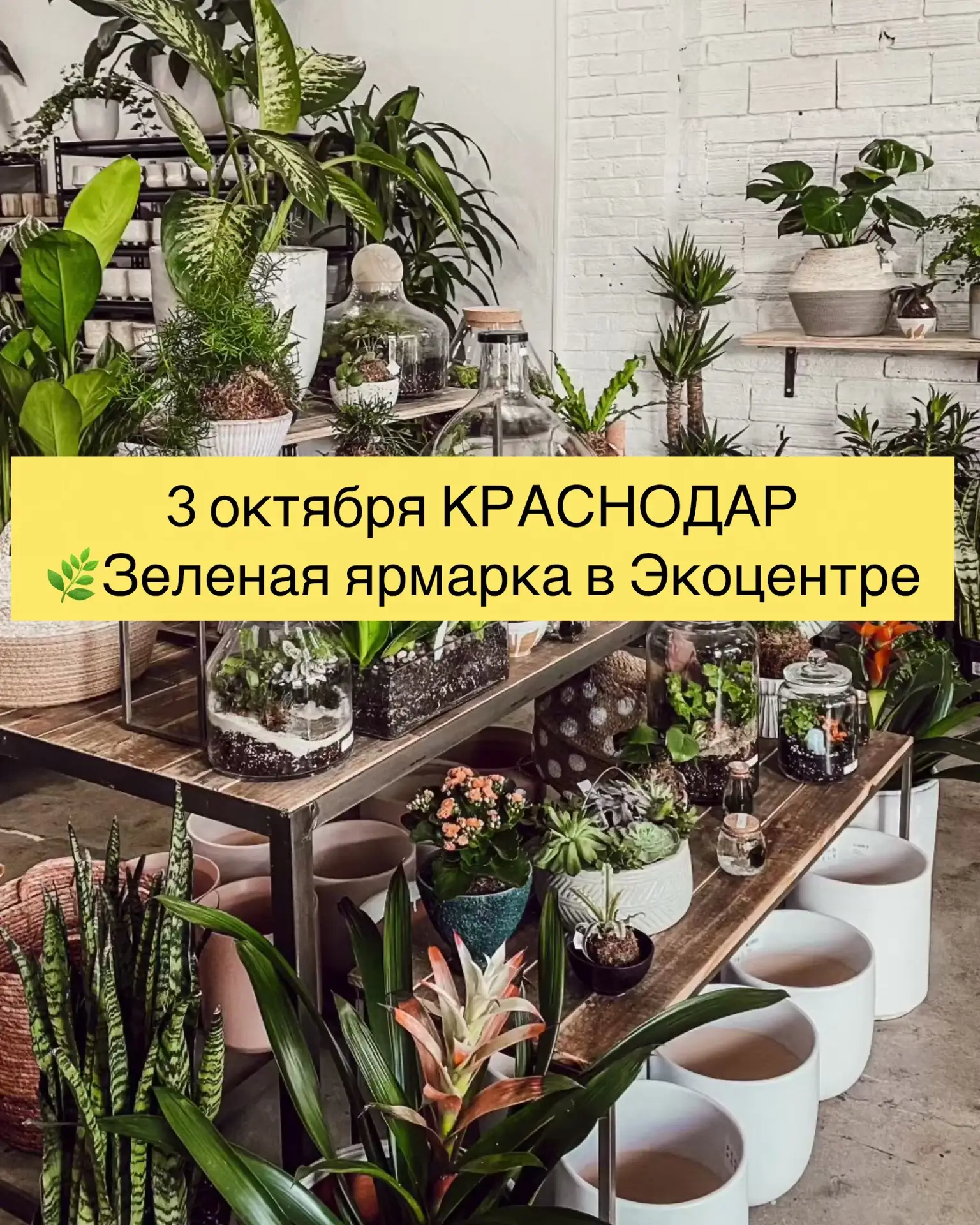 📣3 октября КРАСНОДАР