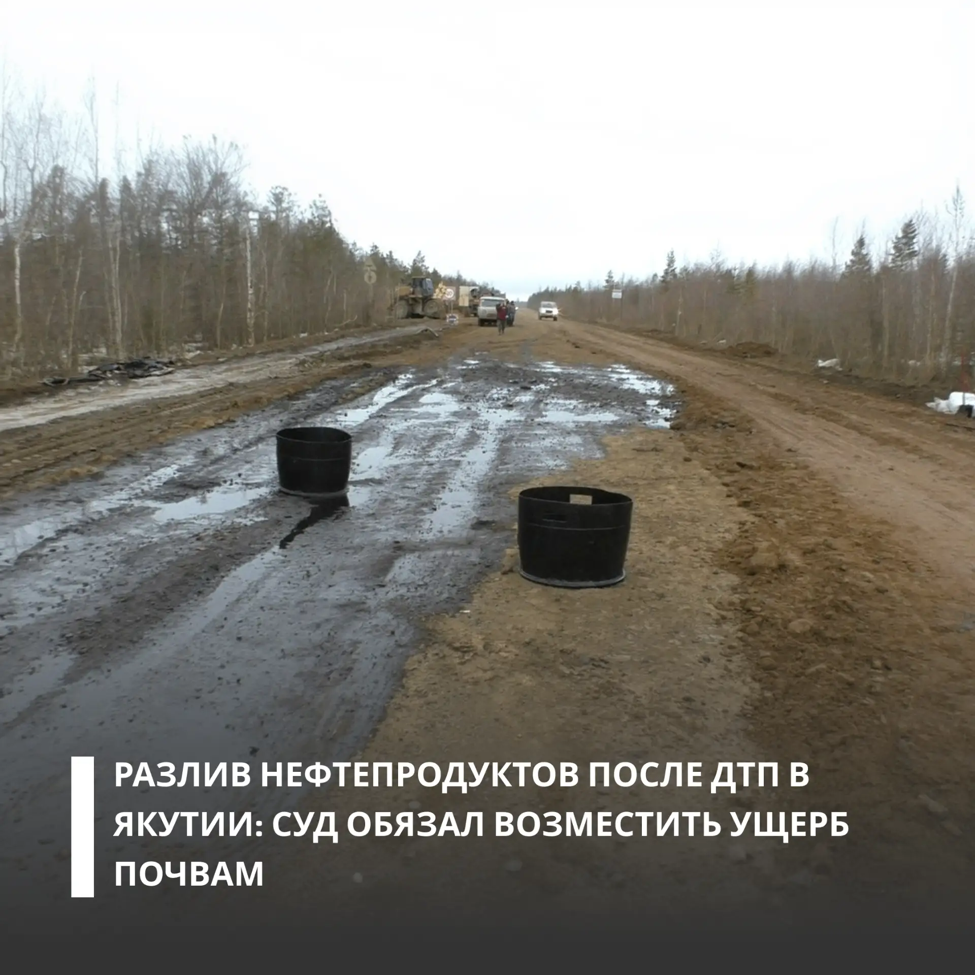 Изображение 1 к публикации «Росприроднадзор. Экология - дело каждого!»