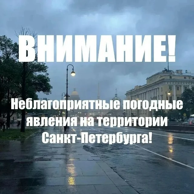 ️В Петербурге объявлен «жёлтый» уровень опасности в связи с дождливой погодой