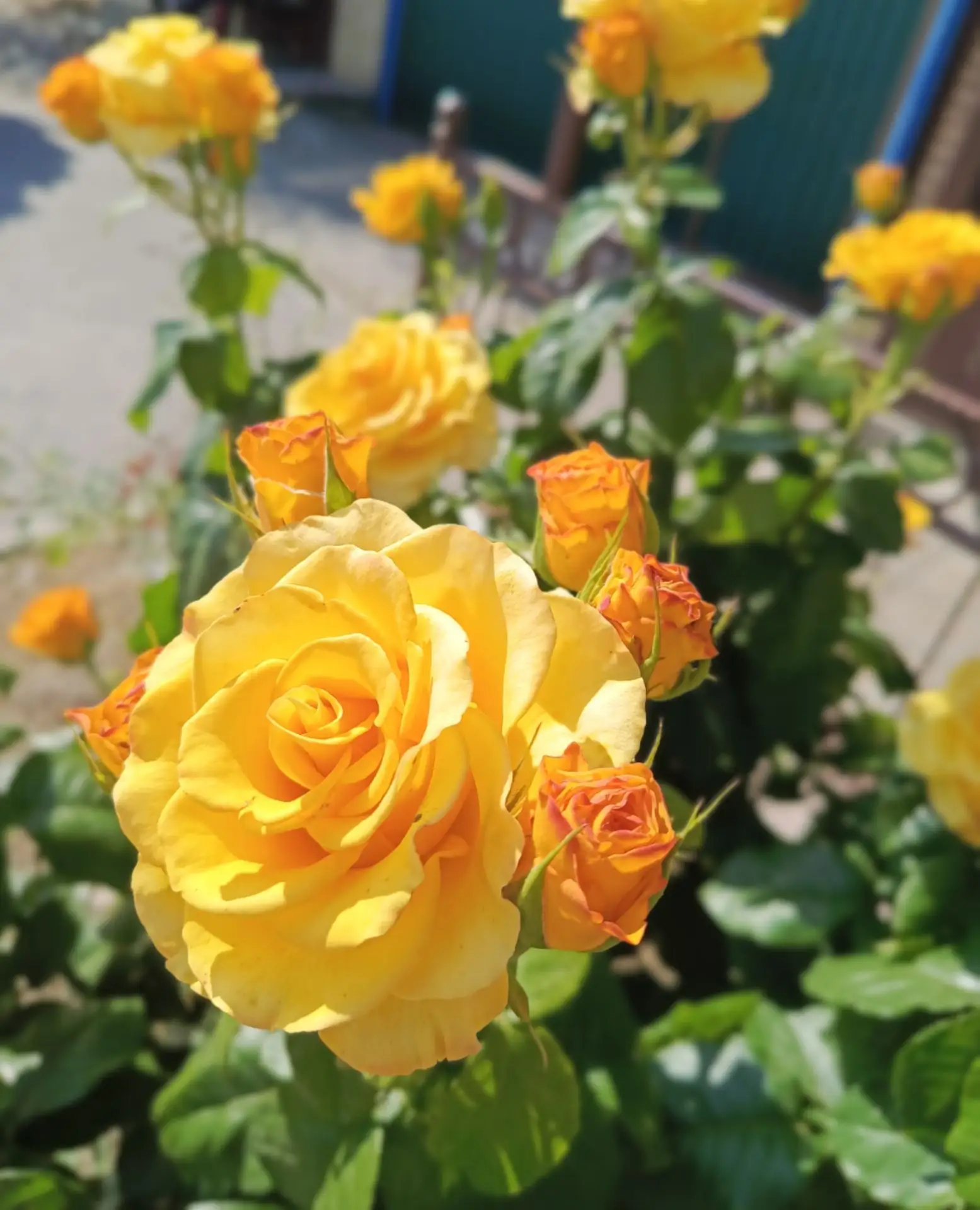 Доброе пятничное утро, друзья!💛
