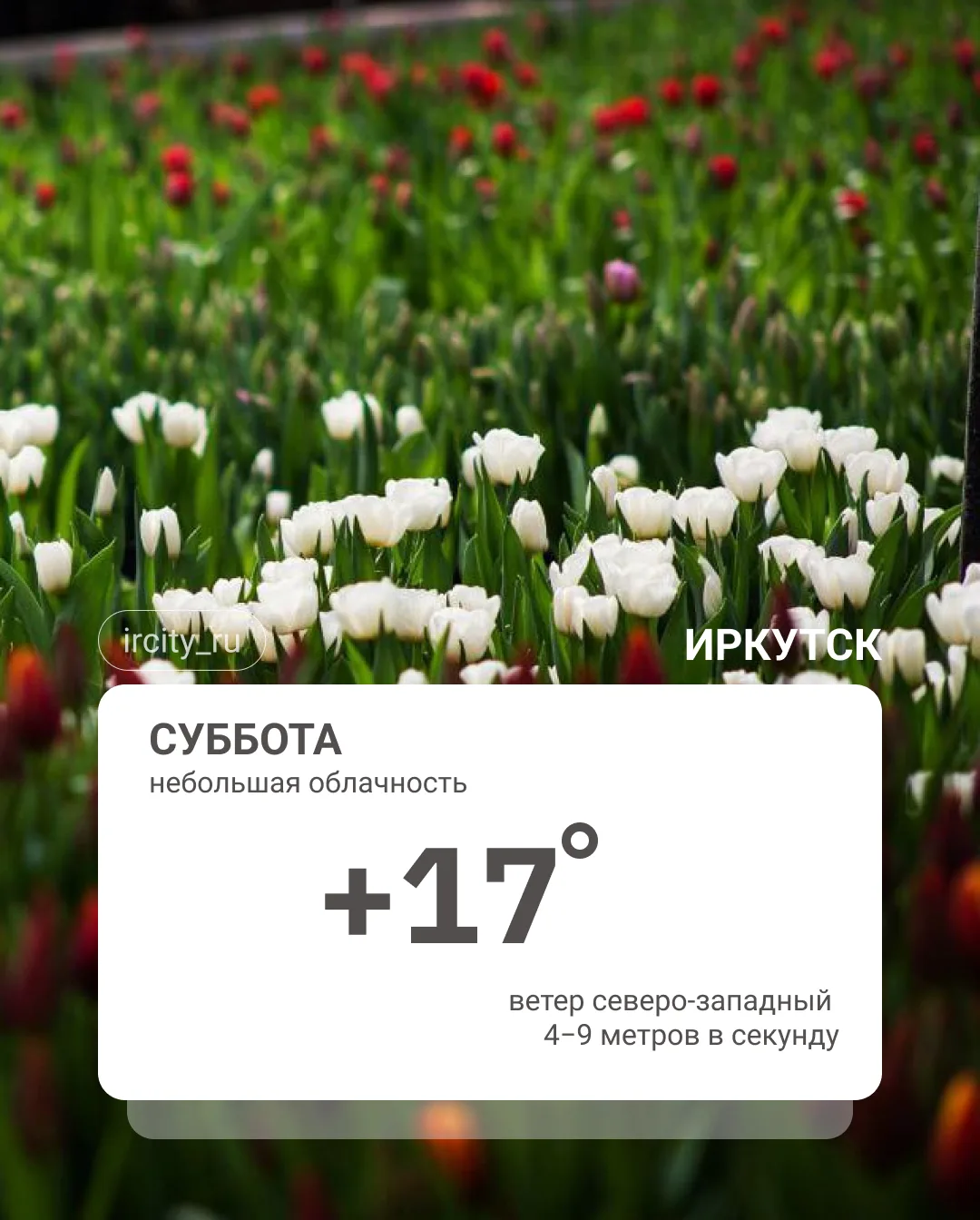 Погода днём. ⬆️