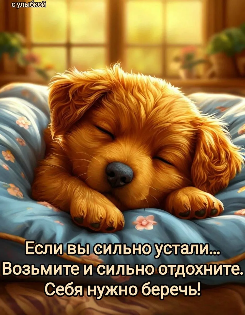 🌙 #ДобройНочи