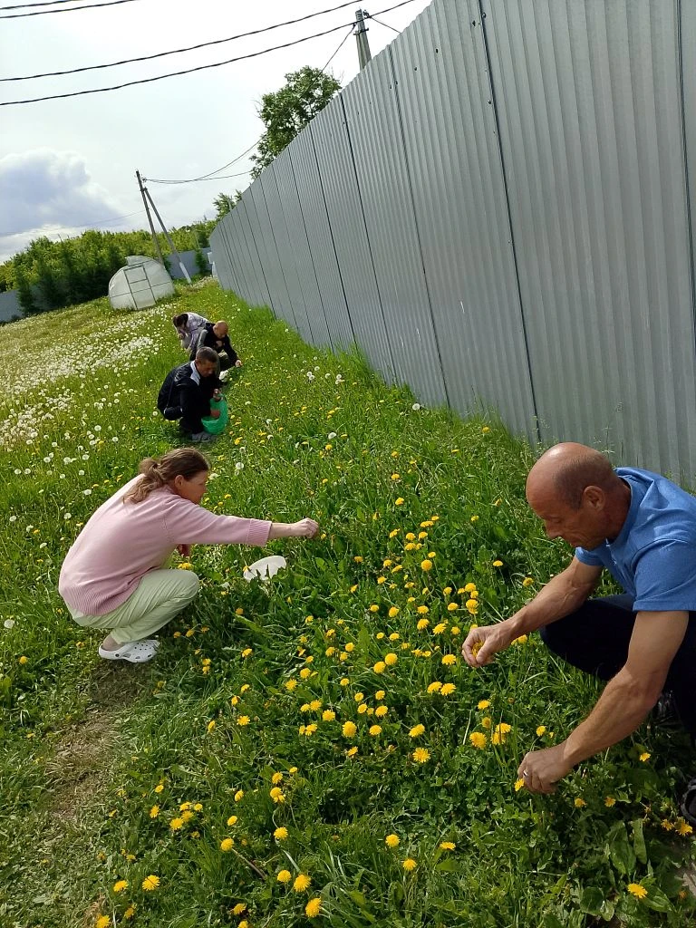 🌼День одуванчика: как в нашем доме поселилось солнечное настроение 🌼
