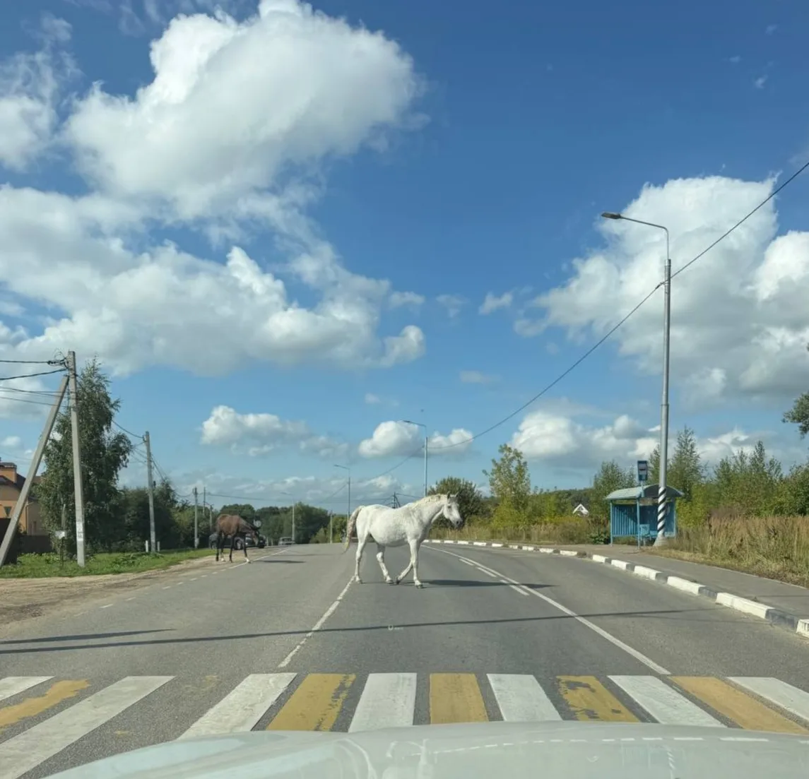Д. Скрылья
