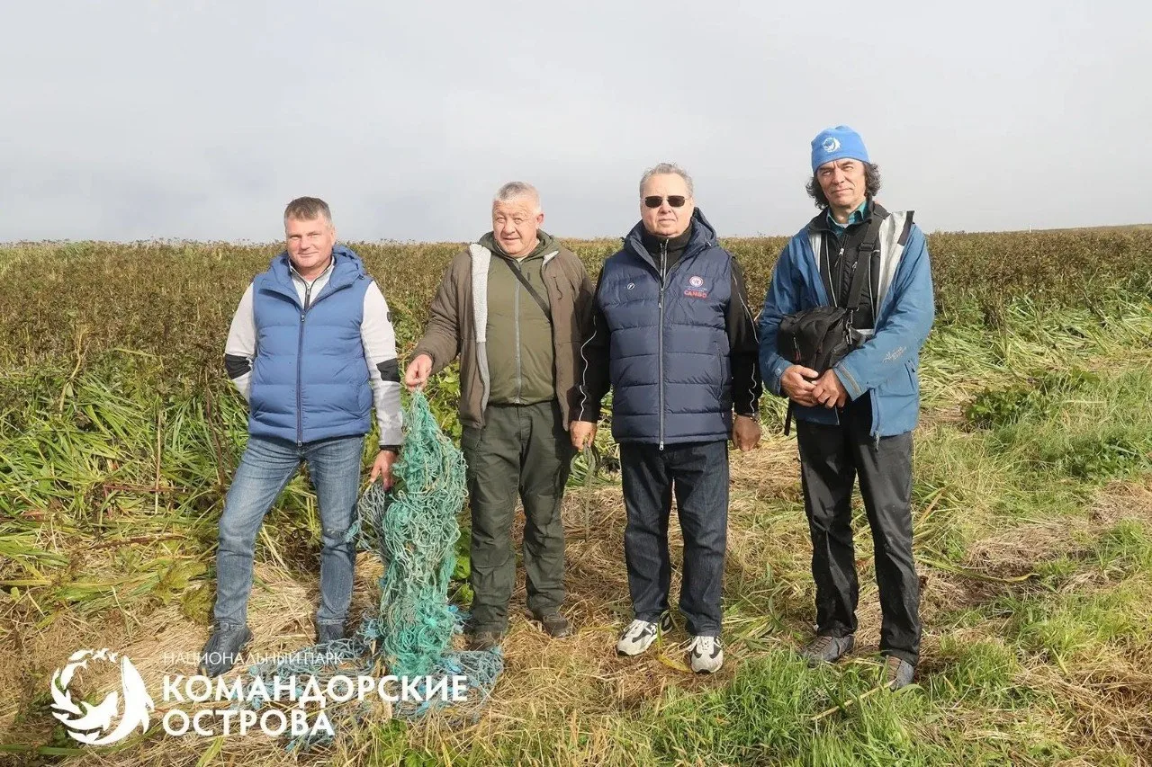 На Командорских островах спасли трех детенышей северного морского котика.