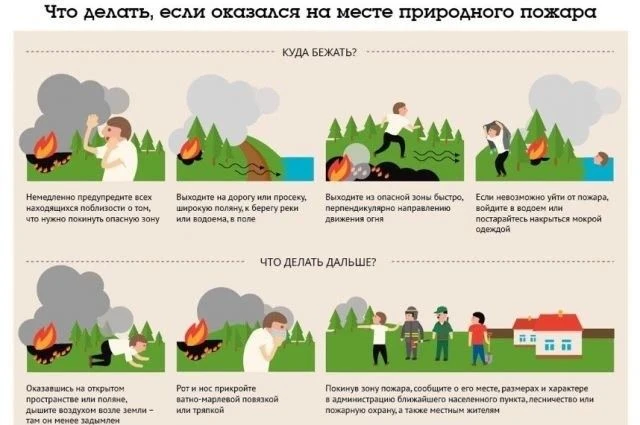 Природа — это здорово! Лес, речка, походы с друзьями. Но иногда случается страшное — в лесу начинает