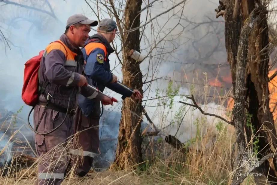 🚒 Ситуация с пожарами в Хабаровском крае стабилизируется