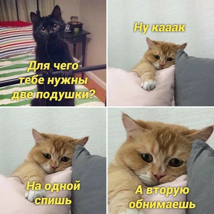 Мемные котьки
