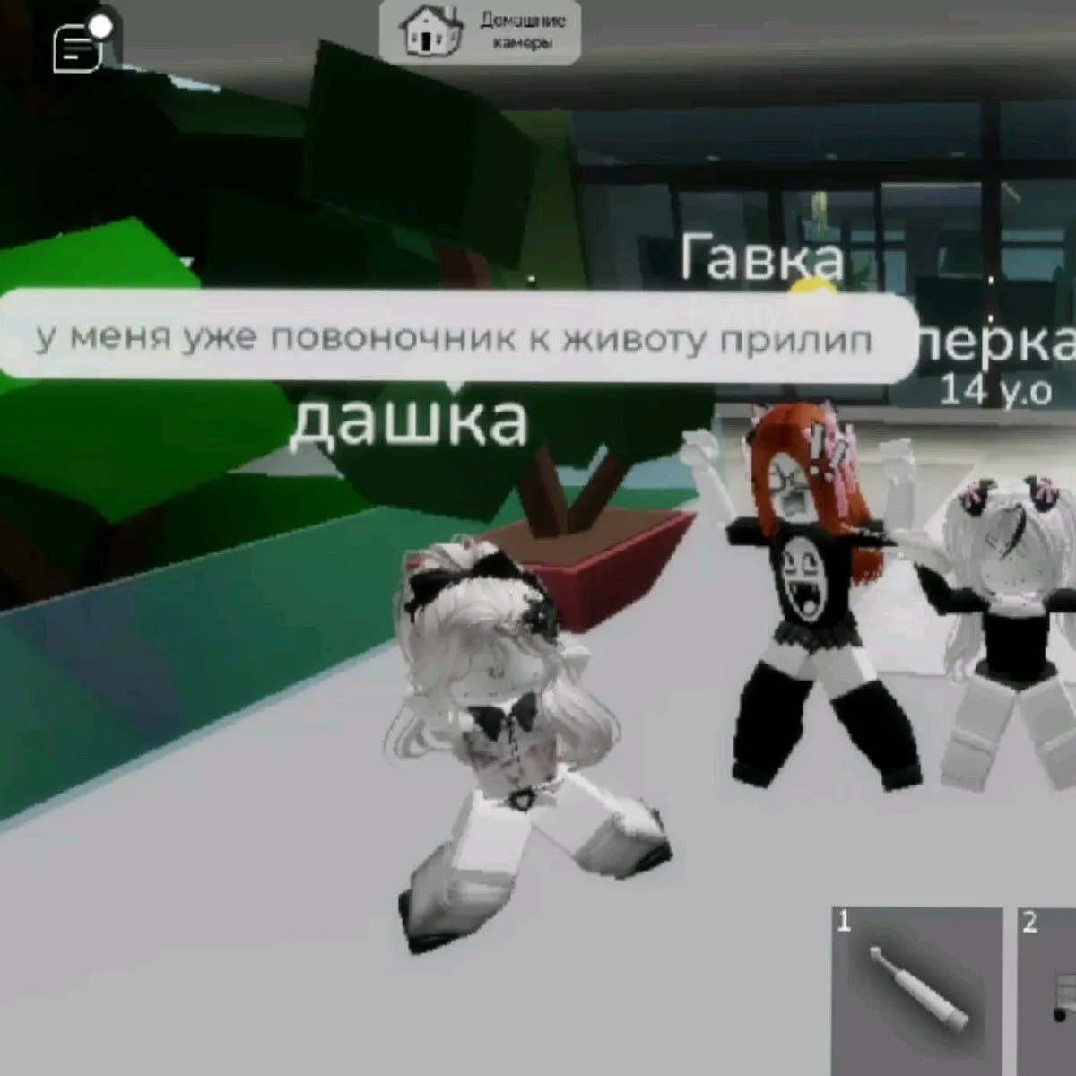 Roblox live