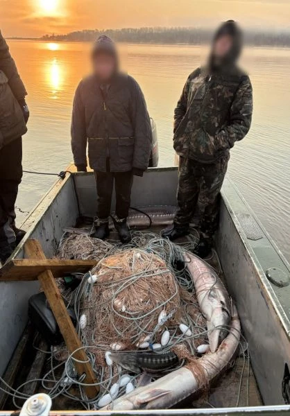 В Комсомольском районе сотрудники полиции задержали подозреваемых в незаконной добыче водных биологи