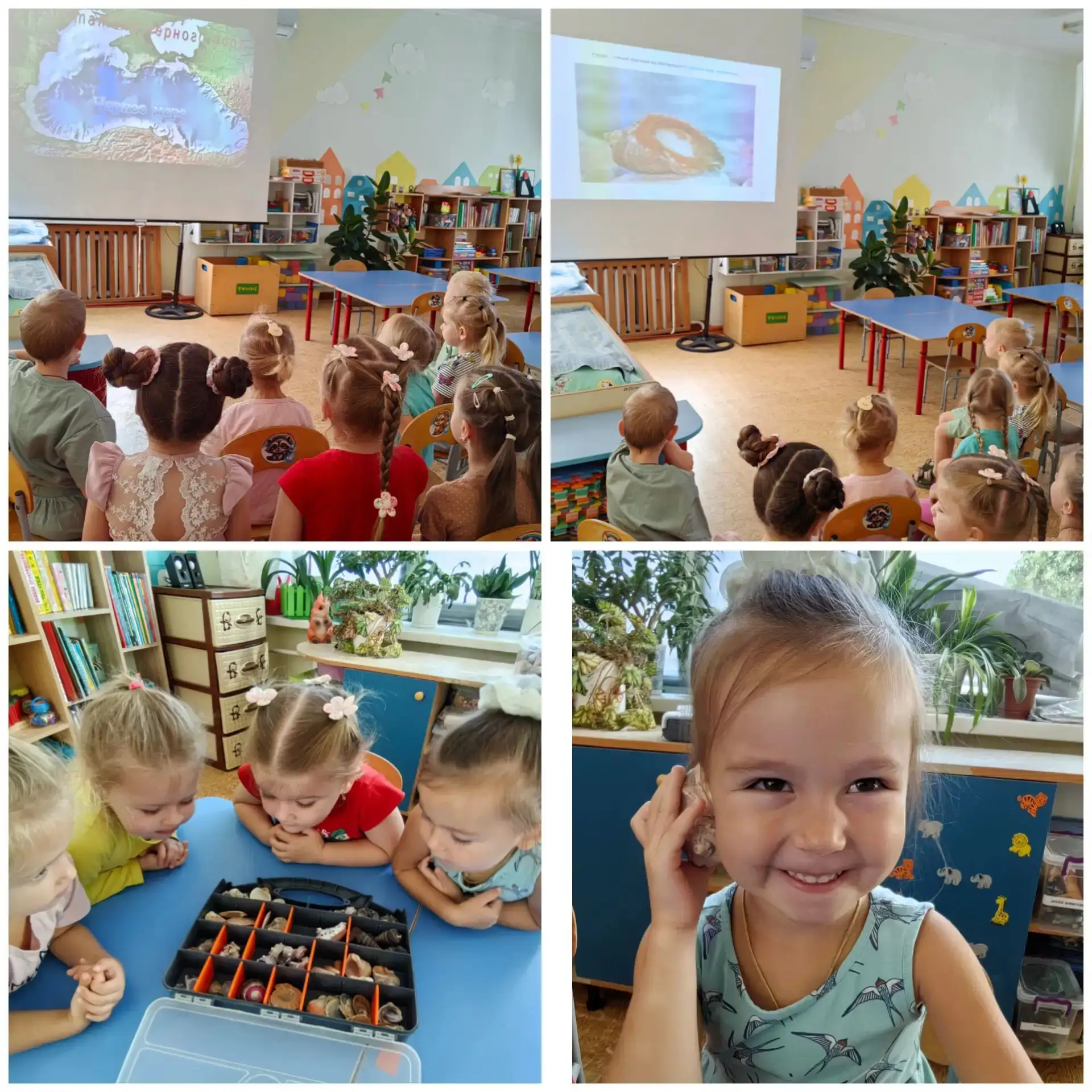 🐚 Волшебное путешествие в мир ракушек! 🐚