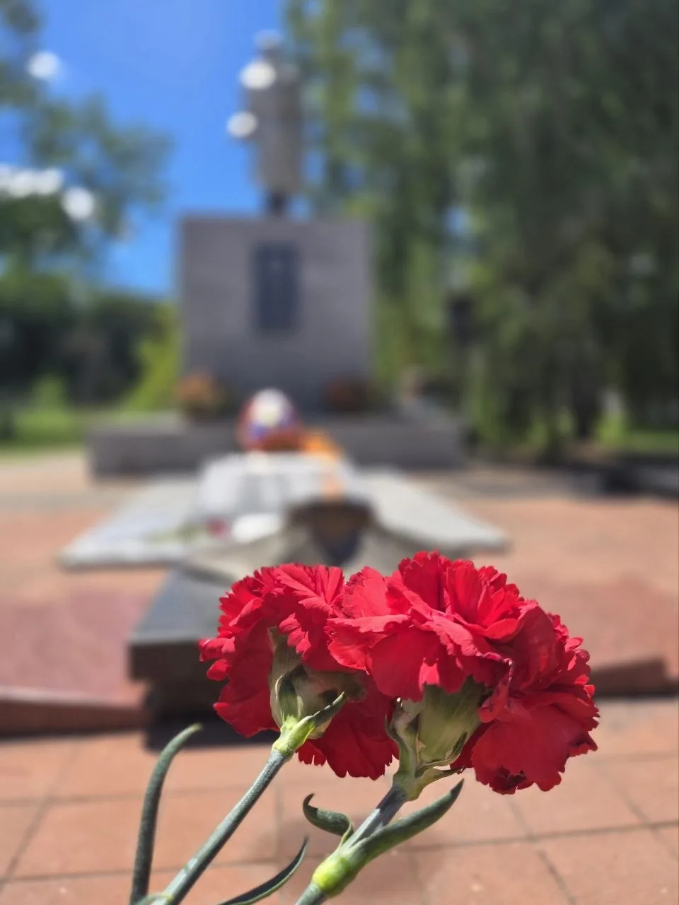 🕯️ Эстафета памяти: из Москвы в Анапу

Сегодня принял эстафету от родного района Куркино СЗАО г. Мо