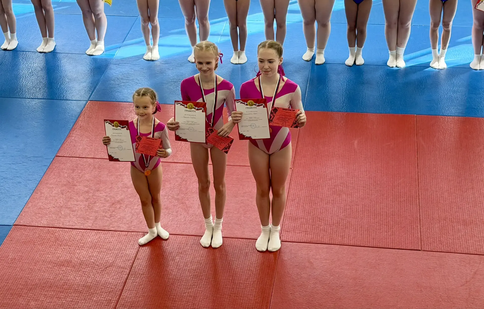 🏆✨ Гордимся нашими талантами! ✨🏆  Поздравляем ученицу 6 «Г» класса Воронкову Варвару 🌸 с блестящим в