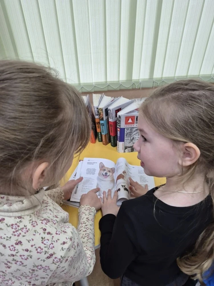 В рамках реализации проекта "Предшкола: стандарт детского сада " на тематической недели "Книга - луч