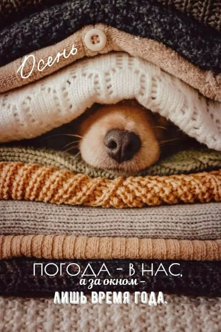 Заговор на скраб или мыло на обновление и очищение.