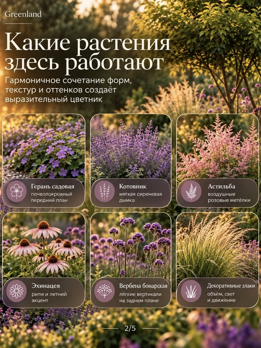 СИРЕНЕВО-РОЗОВЫЙ МИКСБОРДЕР, КОТОРЫЙ ВЫГЛЯДИТ ДОРОГО — ГОТОВАЯ СХЕМА ПОСАДКИ