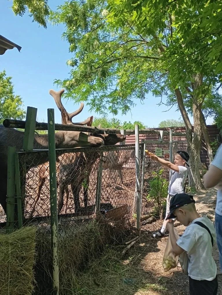 Окончание учебного года ученики 1 «А» класса отметили чудесной поездкой на экоферму  «Вертячий». Дет