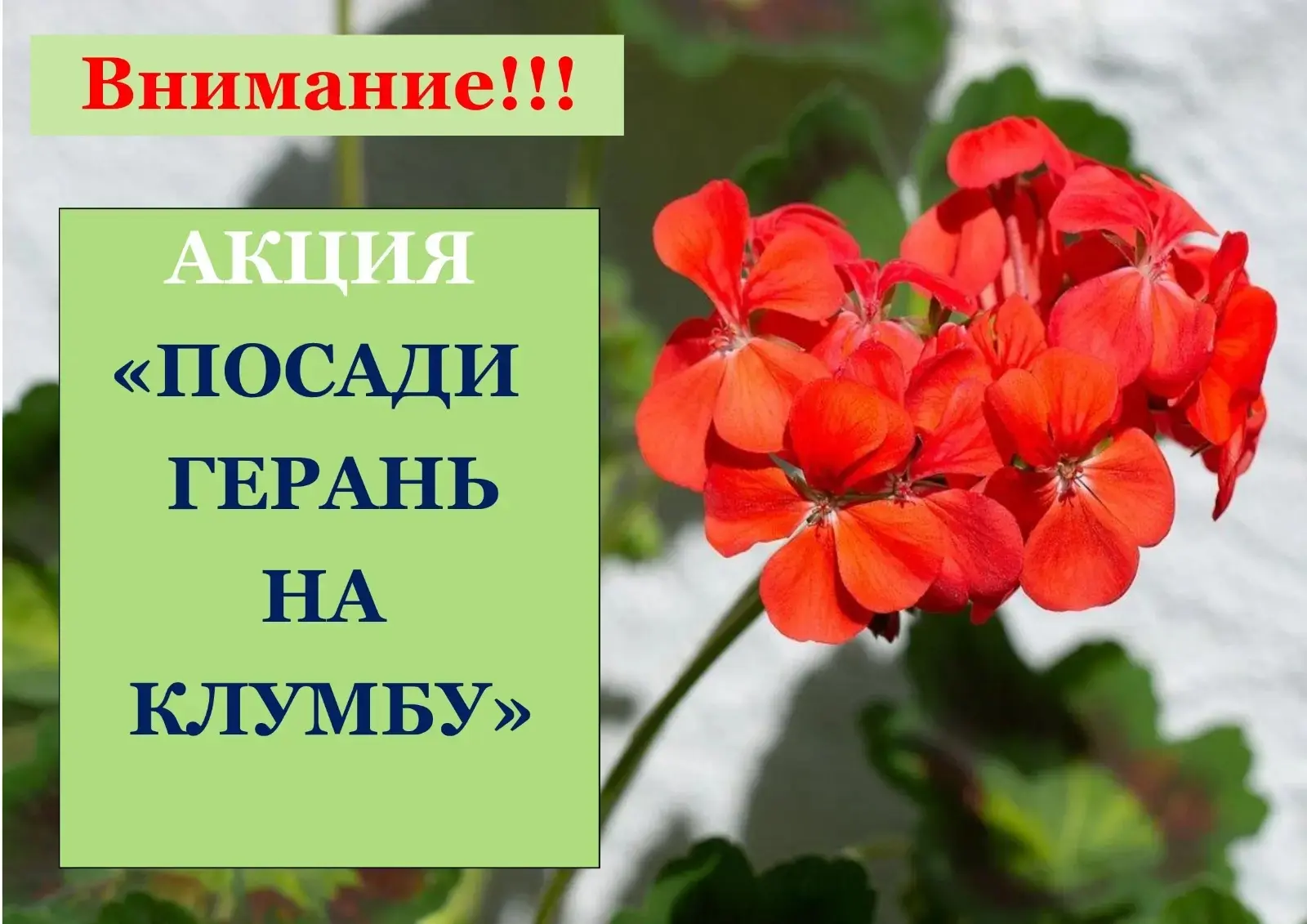 Уважаемые родители!