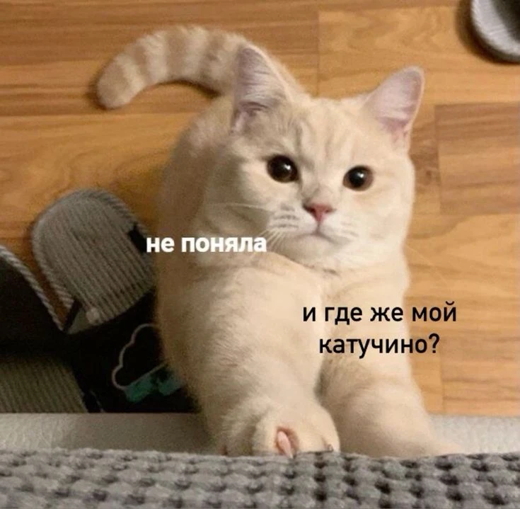 Лишняя бодрость: даже утренняя чашка кофе может мешать нормально высыпаться.