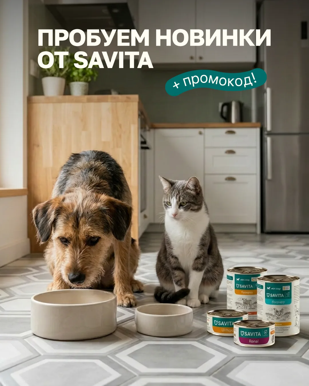 Не ждать проблем, а предупреждать их — вот настоящая забота о питомце 🐾
