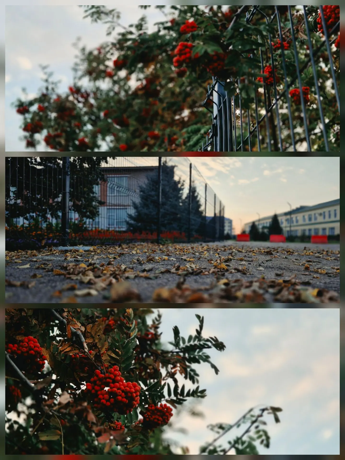 ☕️🍁 Код доступа: октябрь
