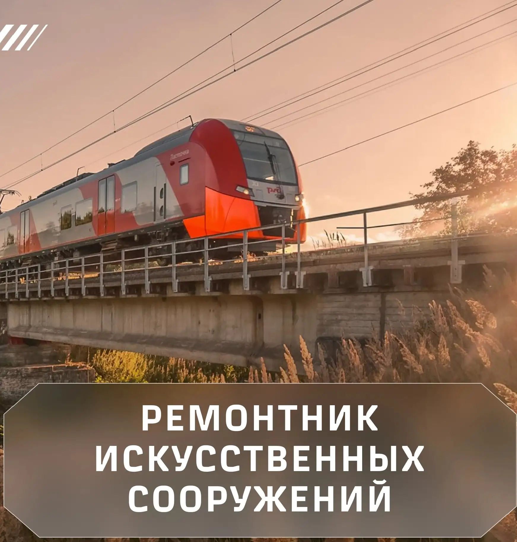 Знакомство с профессией