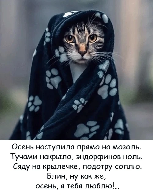 Всем тепла, воды и электричества. 😉🤞