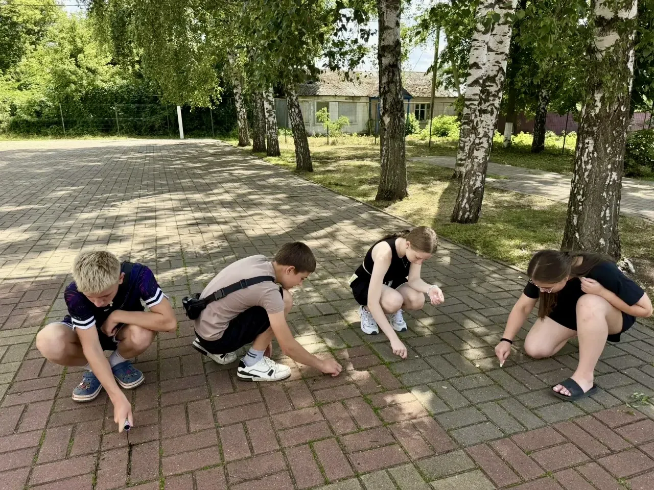 Лето! Каникулы! Время отпусков!  Но школу нужно содержать в порядке, убирать  мусор, травку из плитк