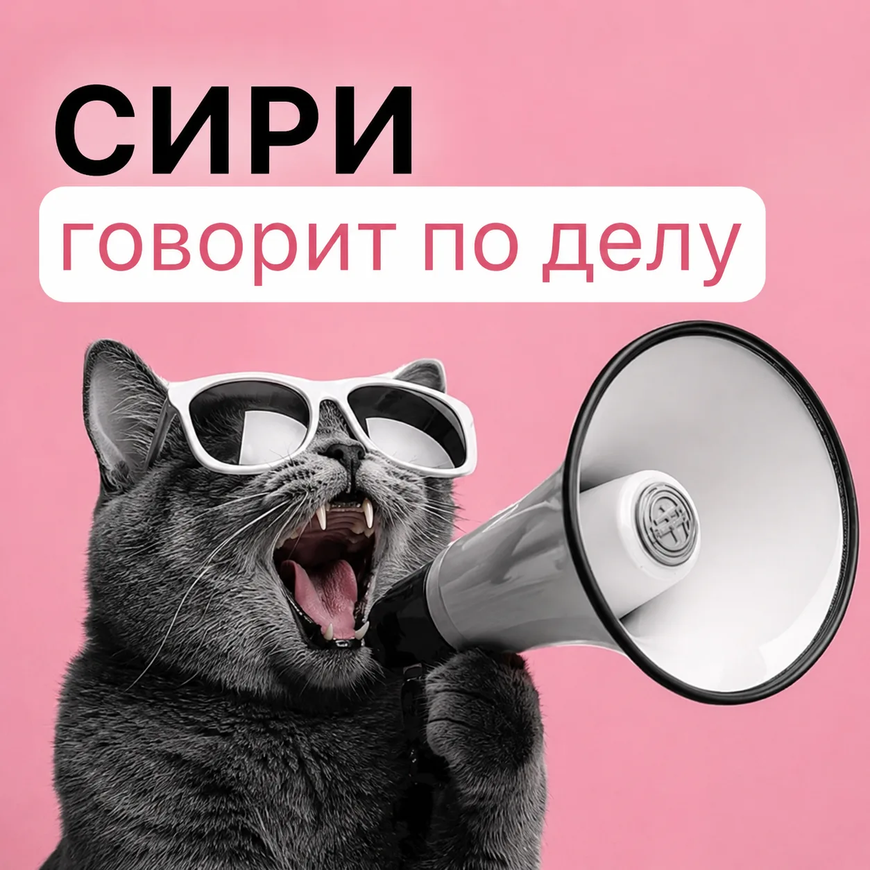 🤖 Сири умеет молчать, когда нужно

Болтливость, кажется, стала фирменной чертой современных чат-бот