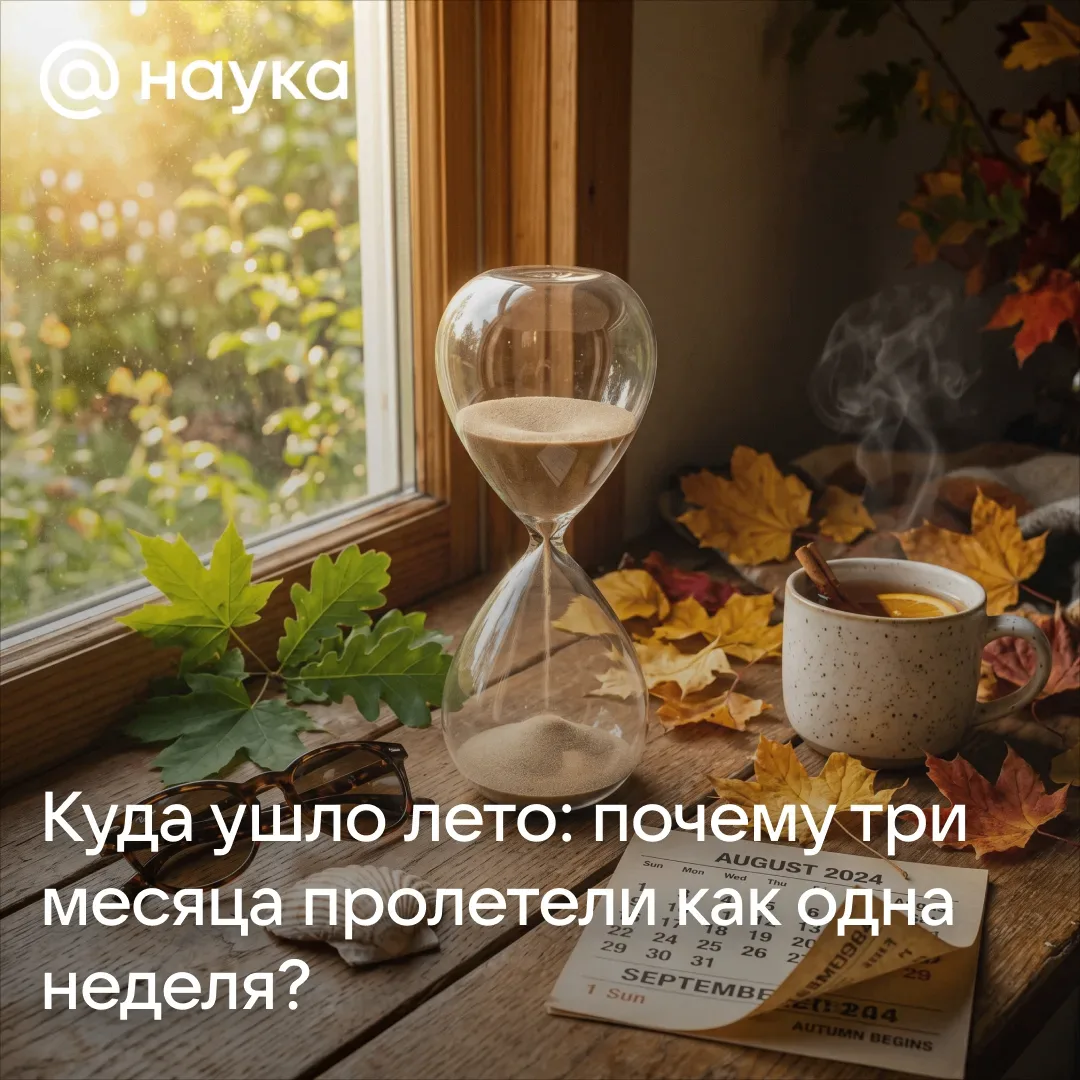 ⏳🍂 Куда ушло лето: почему три месяца пролетели как одна неделя?