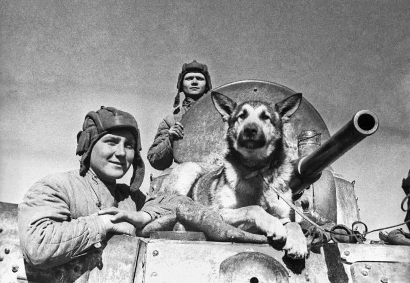 Экипаж советского бронеавтомобиля БА-10: старший сержант Е. Эндрексон, сержант В.П. Ерш...