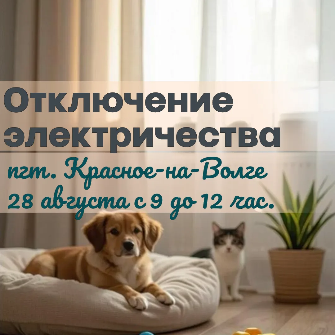 Внимание!