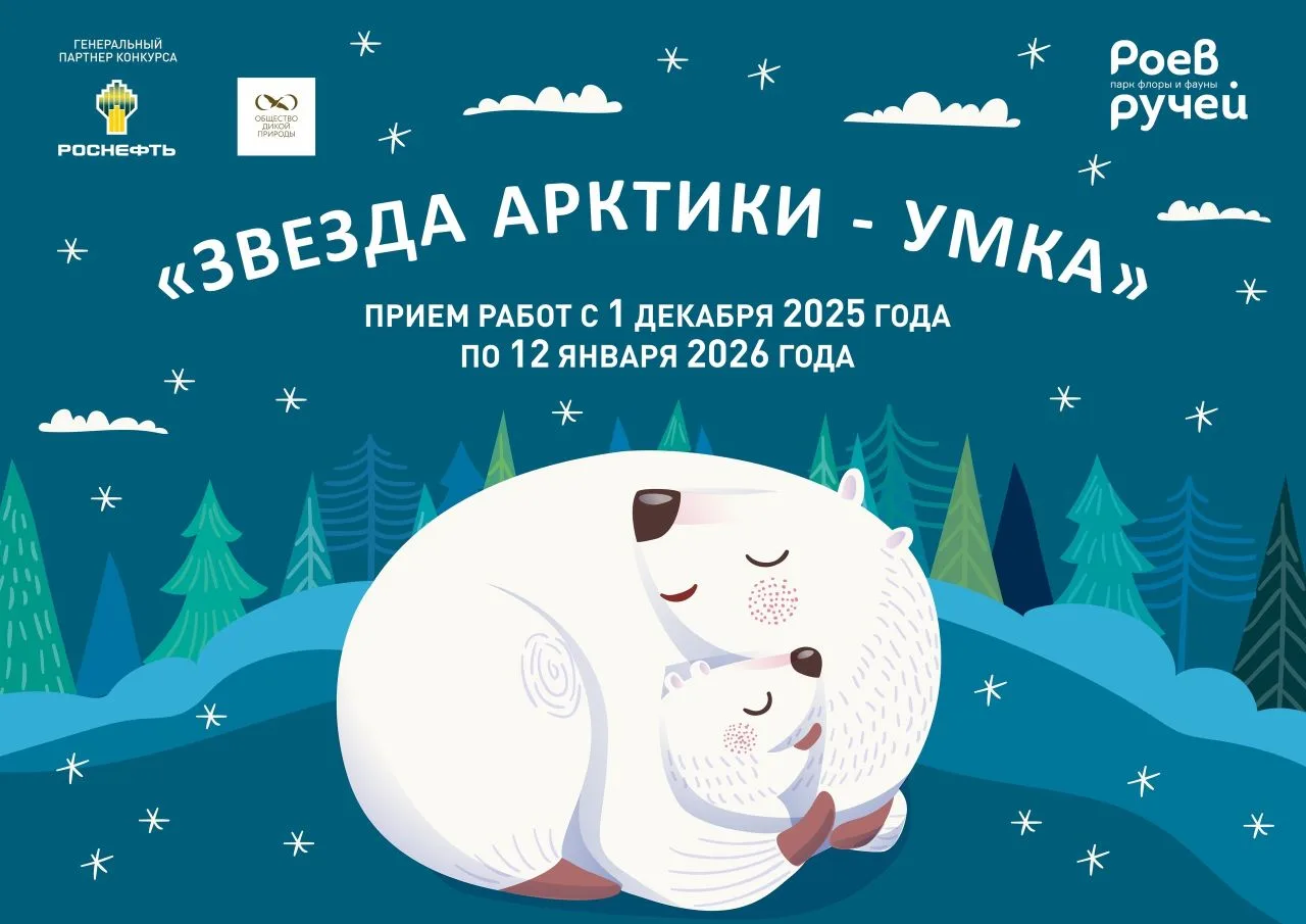 1 декабря дан старт IX Всероссийскому литературному конкурсу «Звезда Арктики–Умка»
