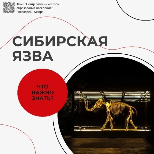 Сибирская язва – особо опасная болезнь человека и животных, которая известна с давних в...