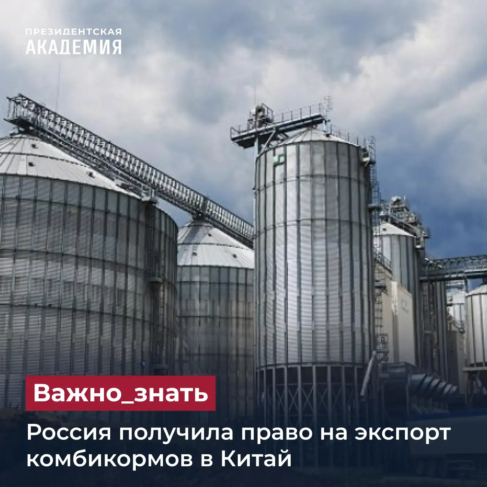 Россия получила право на экспорт комбикормов в Китай

Россия получила право экспортировать комбикорм