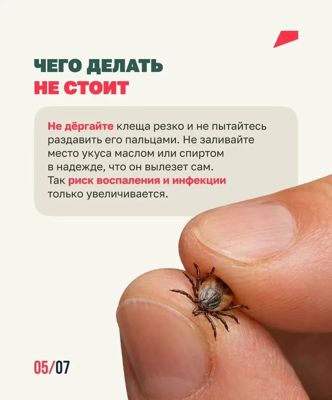 Клещи ближе, чем ты думаешь🕷️  Они обитают не только в лесу, но и на дачах, в парках и вдоль тропино