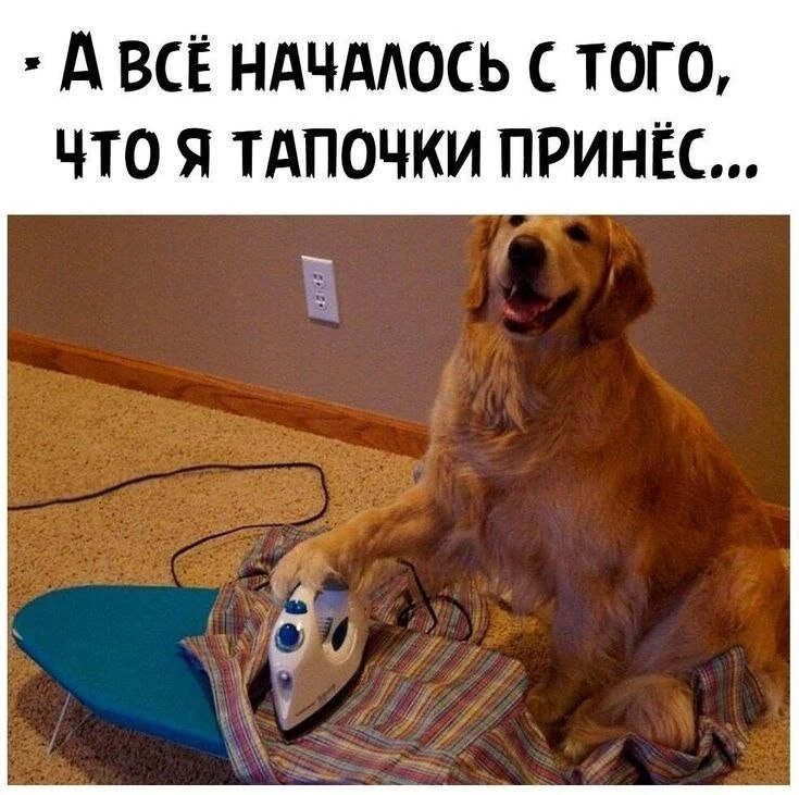Подпишись на юмор 😂