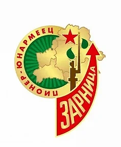 Интересный факт   Пионеров - участников всесоюзной игры "Зарница" в те годы именовали "юнармейцами" 