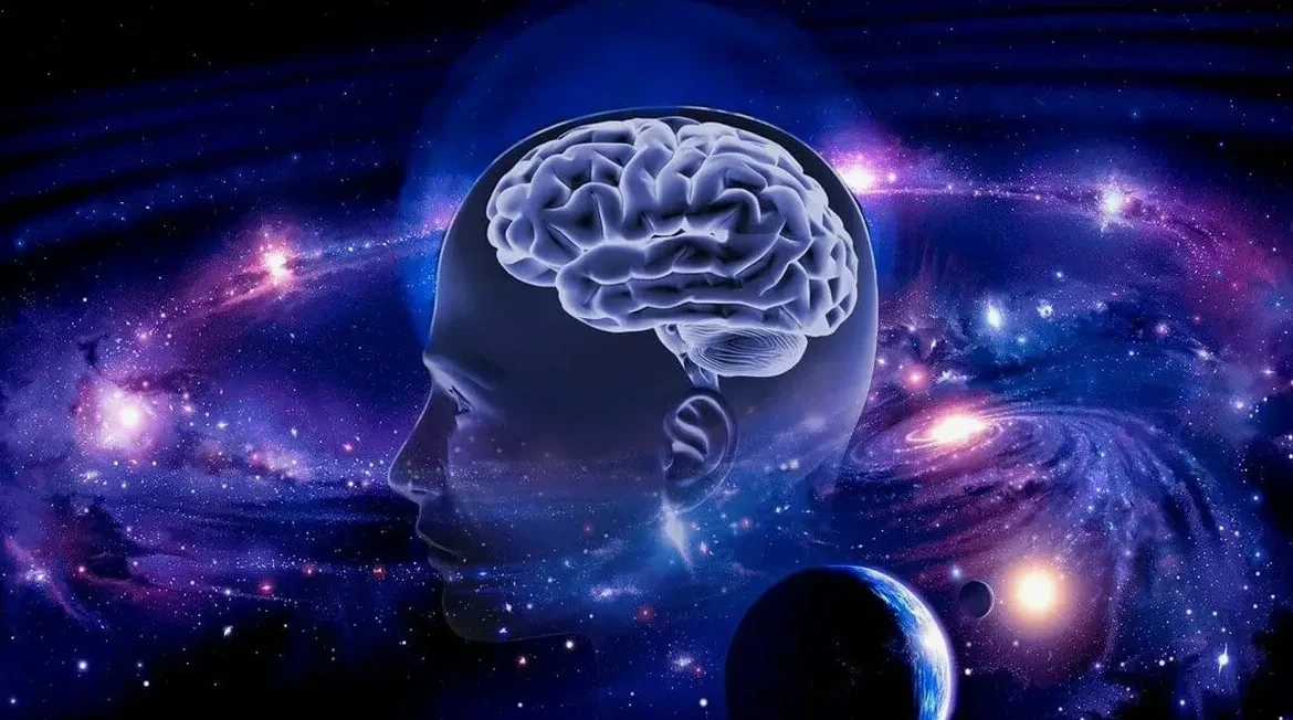❗Головной мозг - главный инструмент познания мира

🧠 Центральный орган нервной системы — наш главны