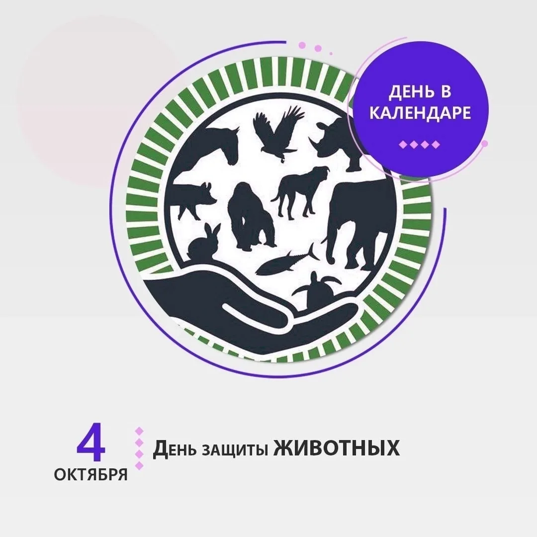 📆4 октября отмечается Всемирный день защиты животных.