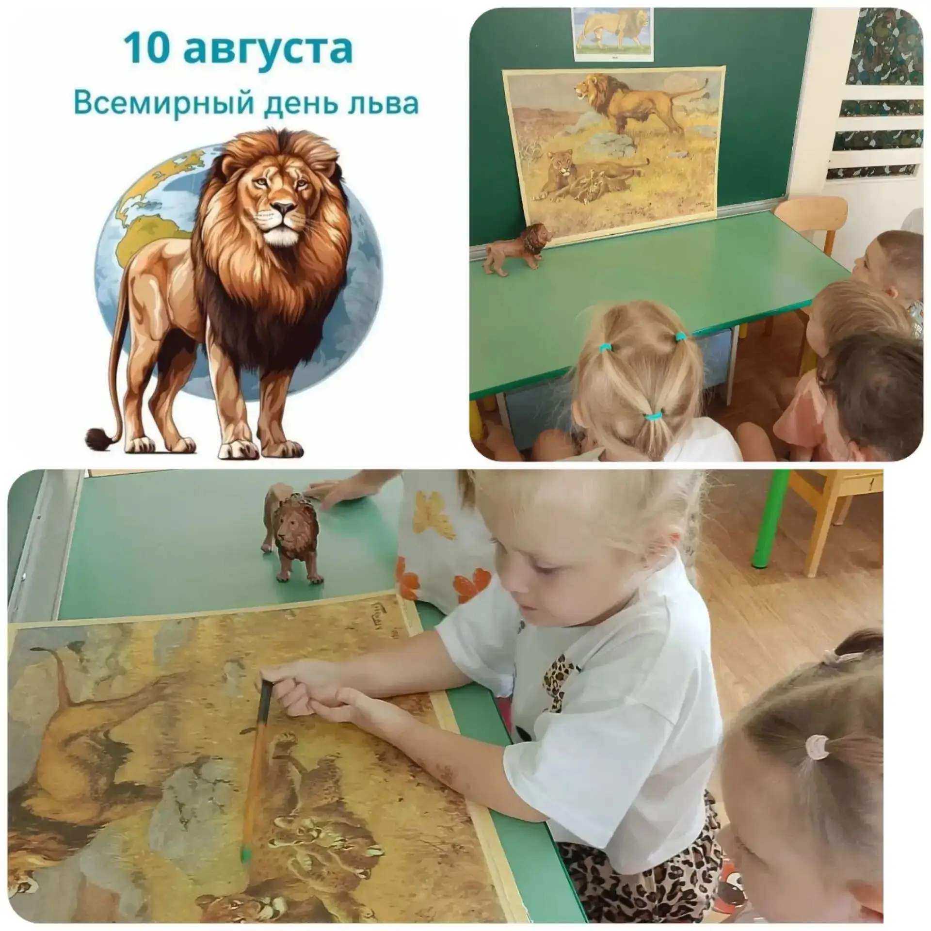 ✨«Всемирный день льва»🦁