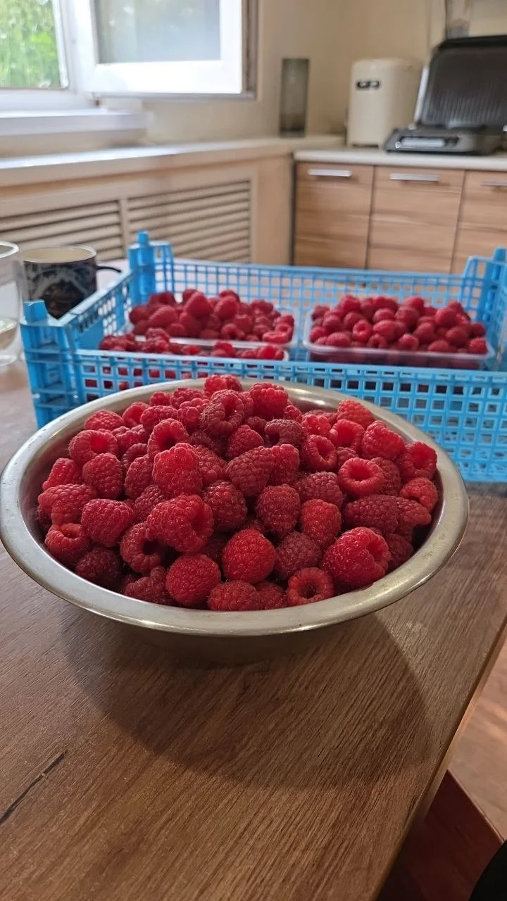 С малиновым сезоном нас всех! Извращаюсь и делаю малиновое варенье без косточек для сем...