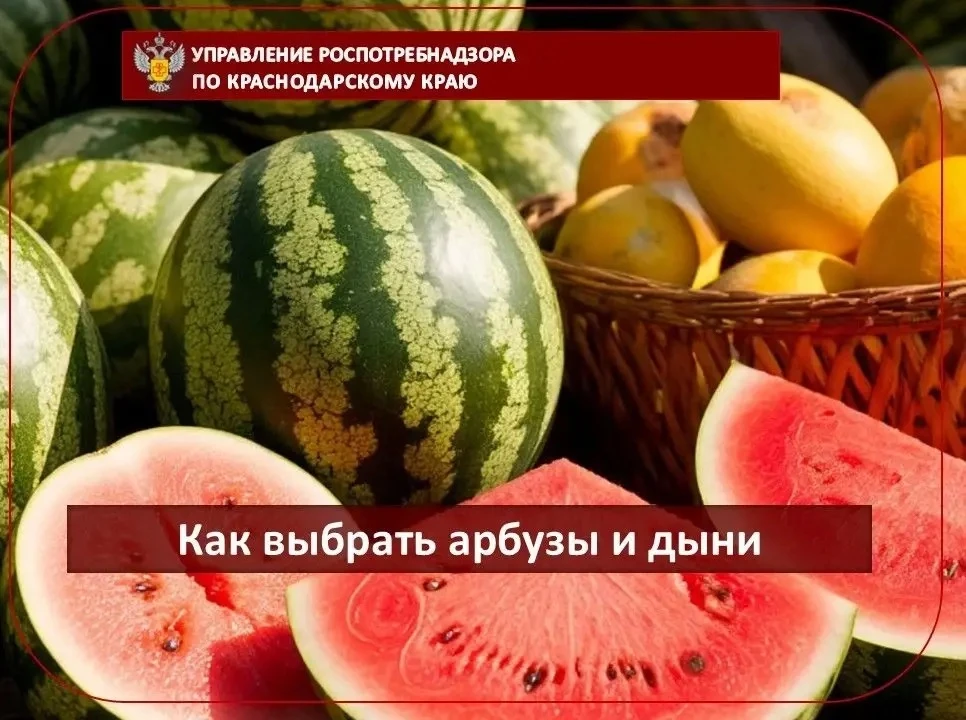 Как выбрать арбузы и дыни
