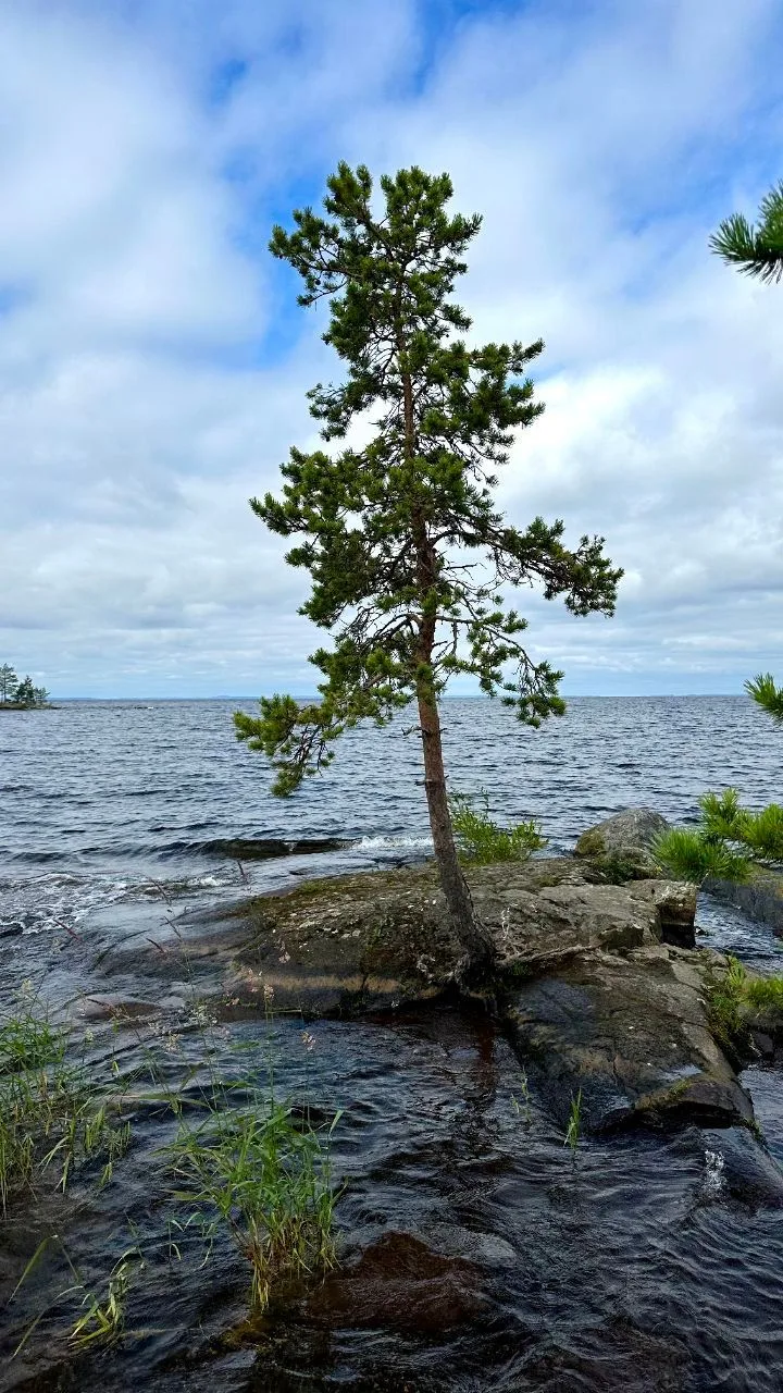 Представьте: лёгкий утренний туман над спокойной гладью воды, суета мегаполиса, которая...